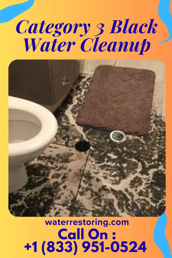 Category 3 Black Water Cleanup in Blountstown, FL